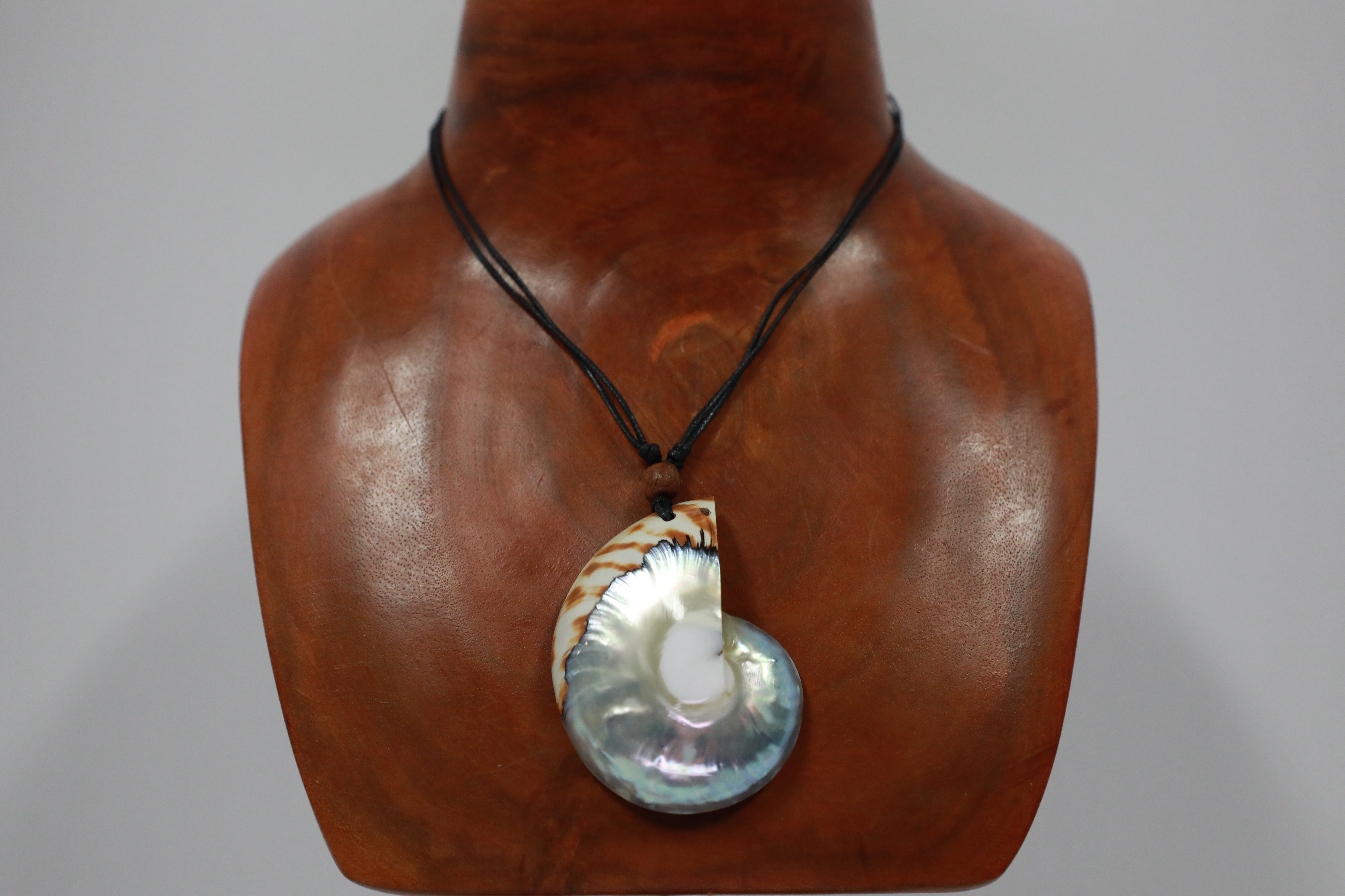 Natural Nautillus Shell Necklace